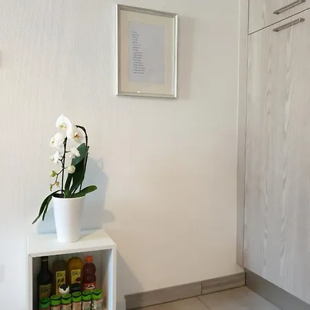 Apartment Le Guelef - 2 Personnes *